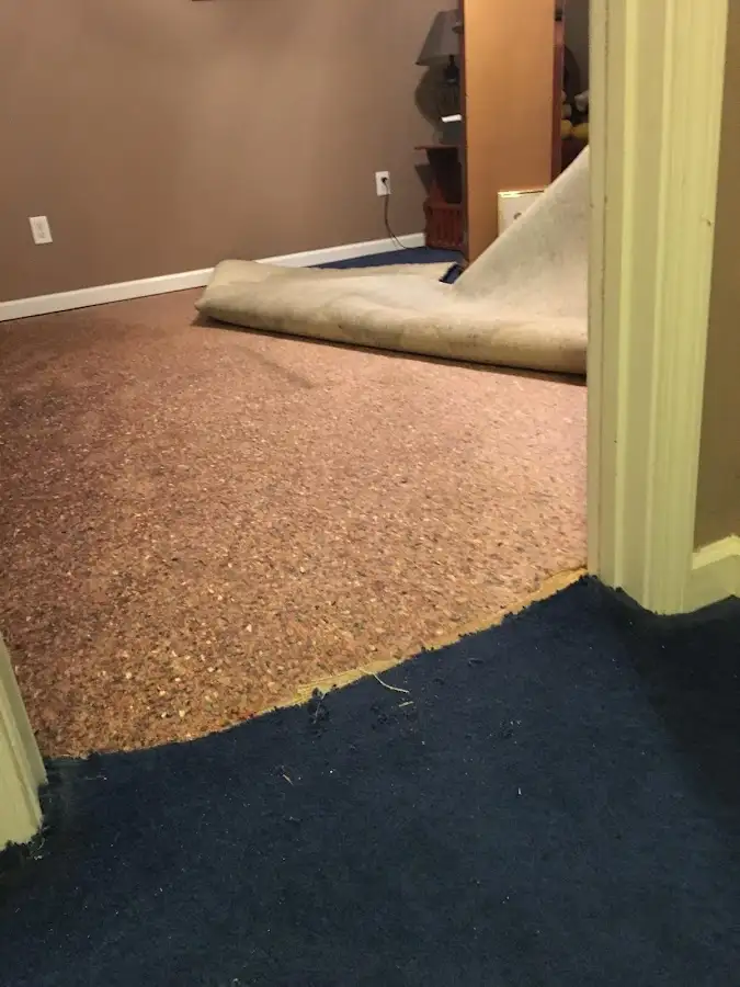 Carpet pad removal revealing water damage during Water Mitigation Services in Westfield
